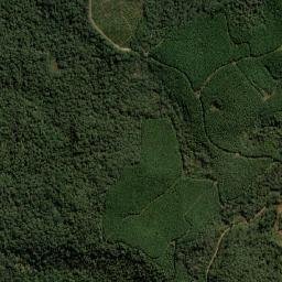 Ponte Serrada map(satellite map)