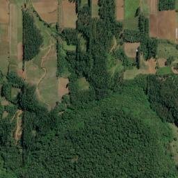 Witmarsum map(satellite map)