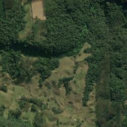 Dona Emma map(satellite map)