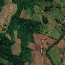 Riqueza map(satellite map)