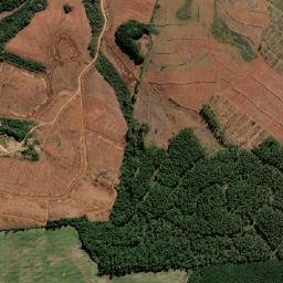 Fraiburgo map(satellite map)