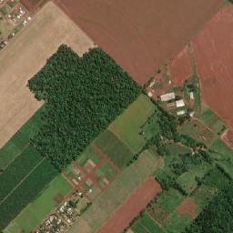 Bella Vista map(satellite map)