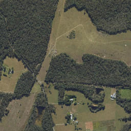 Bellmere map(satellite map)