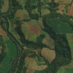 Itapiranga map(satellite map)
