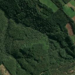 Paial map(satellite map)