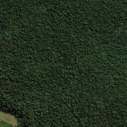 Derrubadas map(satellite map)