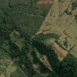 Itatiba do Sul map(satellite map)