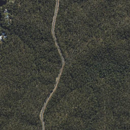 Bunya map(satellite map)