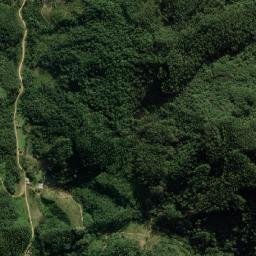 Major Gercino map(satellite map)
