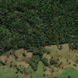 Vargem map(satellite map)
