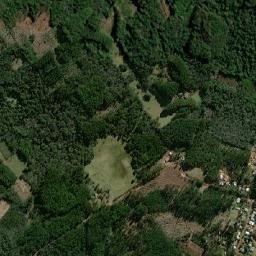 Departamento de Leandro N. Alem map(satellite map)