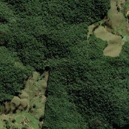 São Pedro de Alcântara map(satellite map)