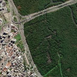 Trindade map(satellite map)