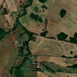 Cerro Grande map(satellite map)