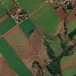 Tuparendi map(satellite map)