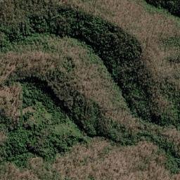 New Beith map(satellite map)