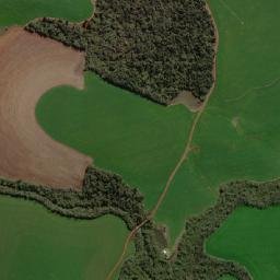 Chiapetta map(satellite map)