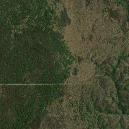 Departamento de Guasayán map(satellite map)