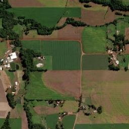 Salvador das Missões map(satellite map)