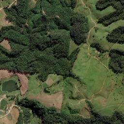 Grão Pará map(satellite map)