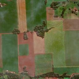 São Pedro do Butiá map(satellite map)