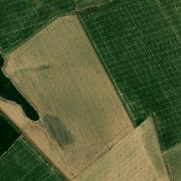 Almirante Tamandaré do Sul map(satellite map)
