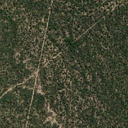 Departamento de San Martín map(satellite map)
