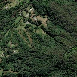 Tallebudgera Valley map(satellite map)