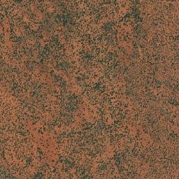 Leonora map(satellite map)