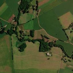 Ernestina map(satellite map)