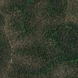 Kyogle map(satellite map)
