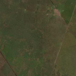 Departamento de General Alvear map(satellite map)
