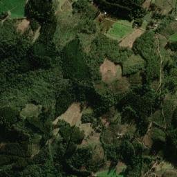 Fontoura Xavier map(satellite map)