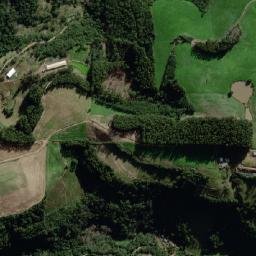 Relvado map(satellite map)