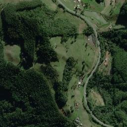 Pouso Novo map(satellite map)