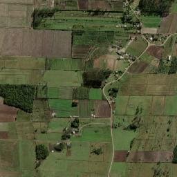 São João do Sul map(satellite map)