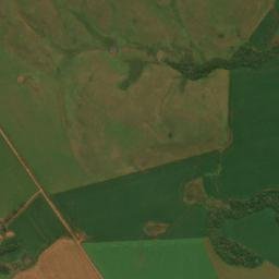Júlio de Castilhos map(satellite map)