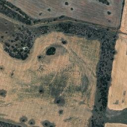 Moree Plains map(satellite map)
