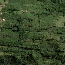 Dom Pedro de Alcântara map(satellite map)