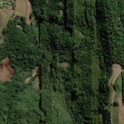 Forquetinha map(satellite map)