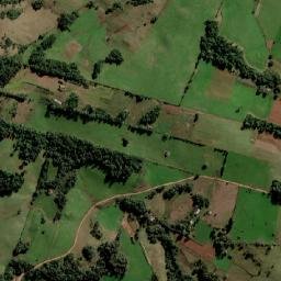 Toropi map(satellite map)