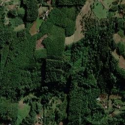 Salvador do Sul map(satellite map)