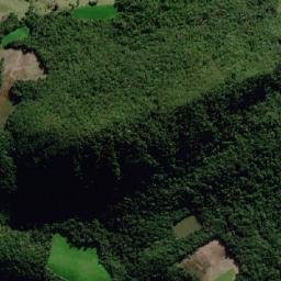 Dona Francisca map(satellite map)