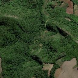 Cerro Branco map(satellite map)