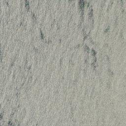 Leeman map(satellite map)