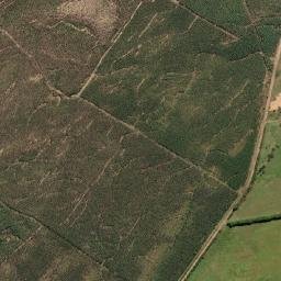 Cidreira map(satellite map)