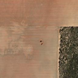Dalwallinu map(satellite map)