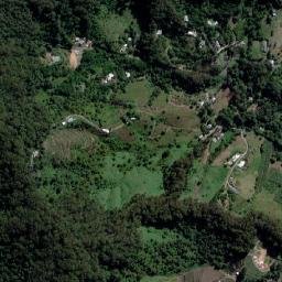 Korora map(satellite map)