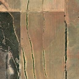 Koorda map(satellite map)