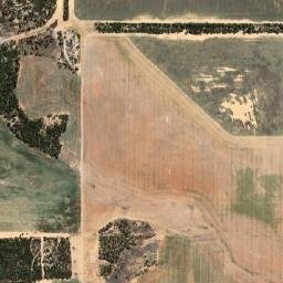 Mukinbudin map(satellite map)